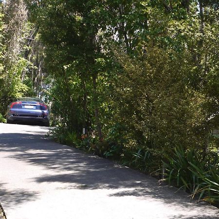 Bay Of Islands Holiday Apartments Paihia Zimmer foto