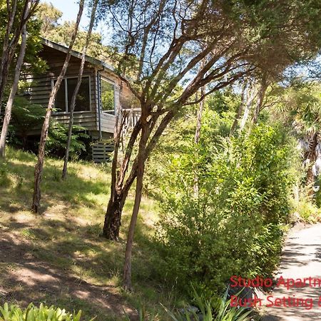 Bay Of Islands Holiday Apartments Paihia Zimmer foto